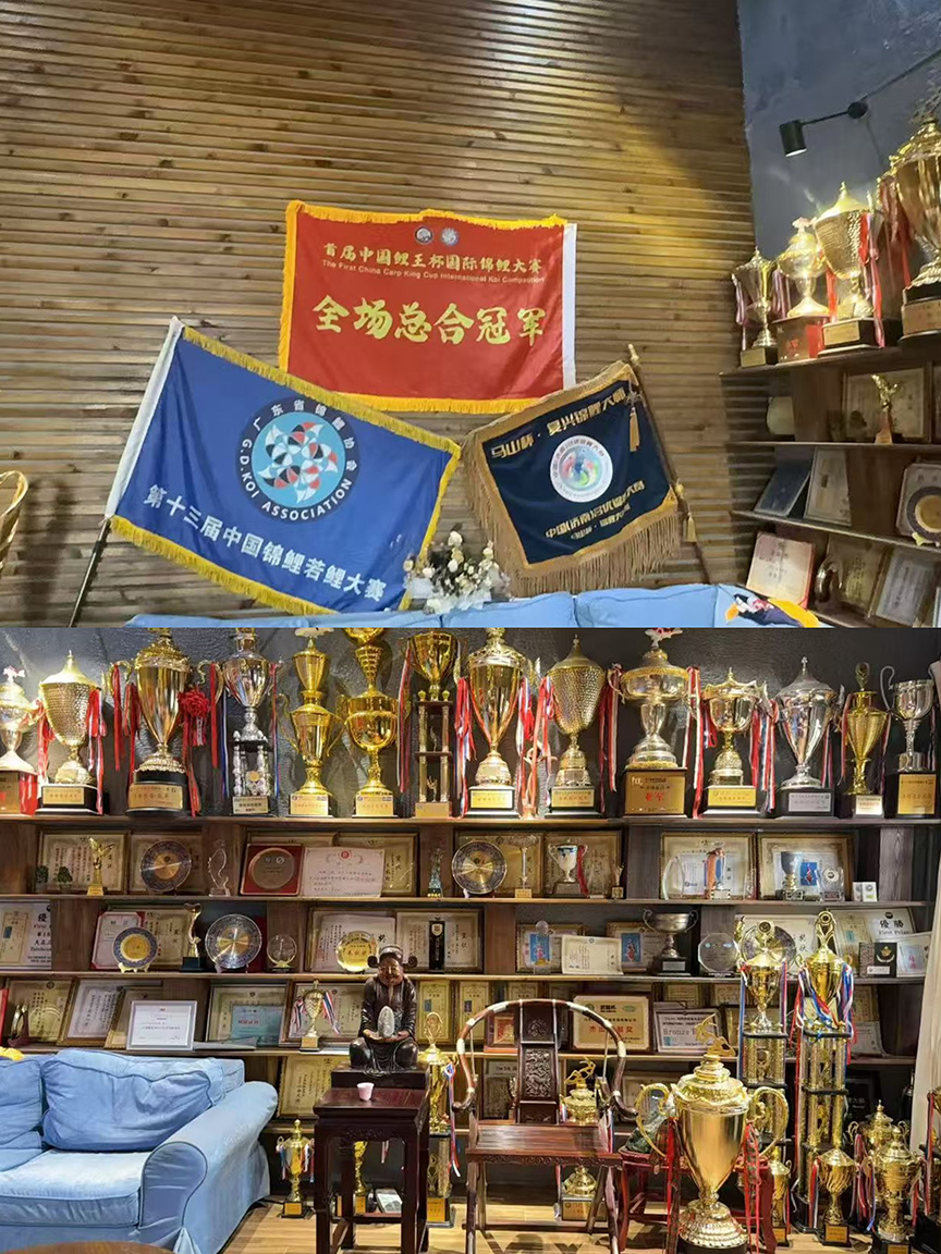 第三个